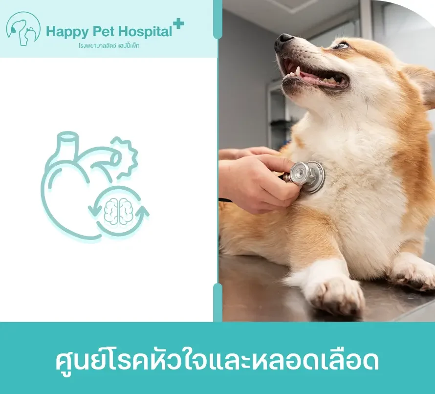 ศูนย์โรคหัวใจและหลอดเลือด