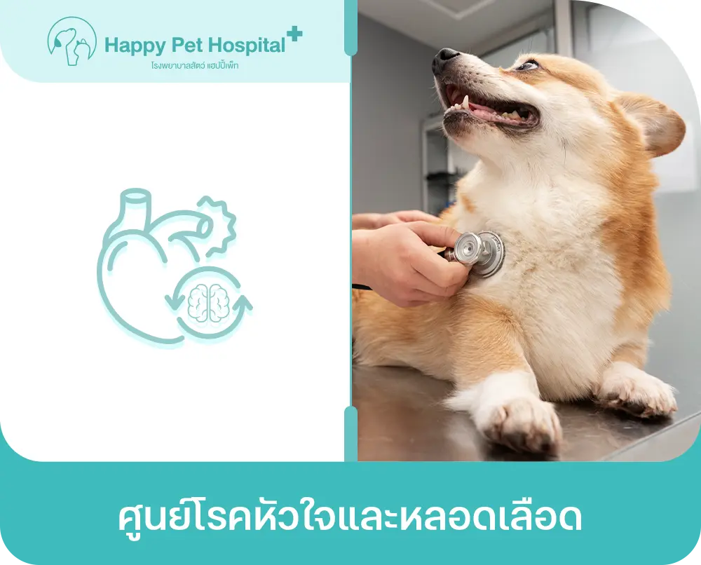 ศูนย์โรคหัวใจและหลอดเลือด