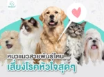 Dog Cat Heart Disease