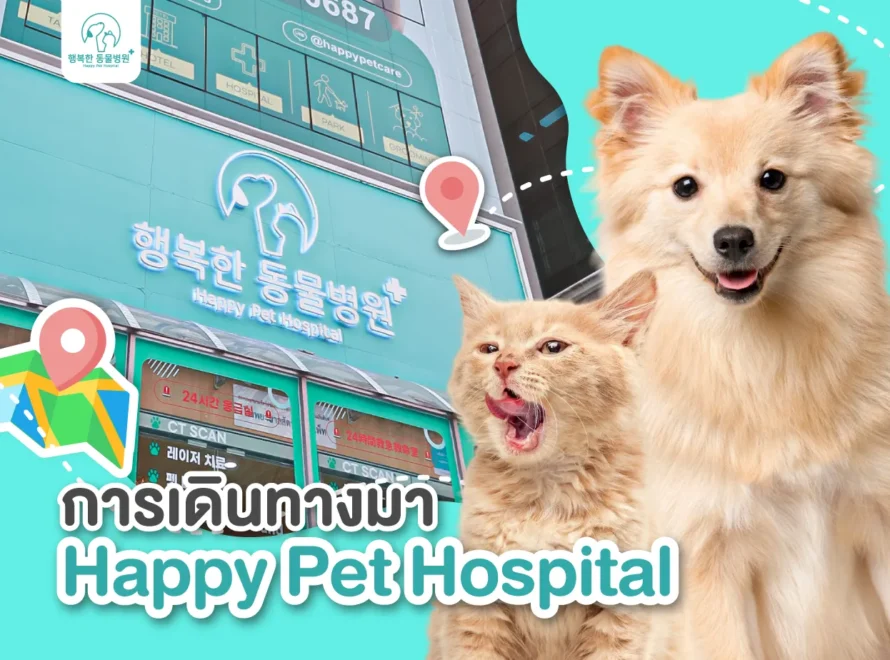 Happy Pet Hospital Location