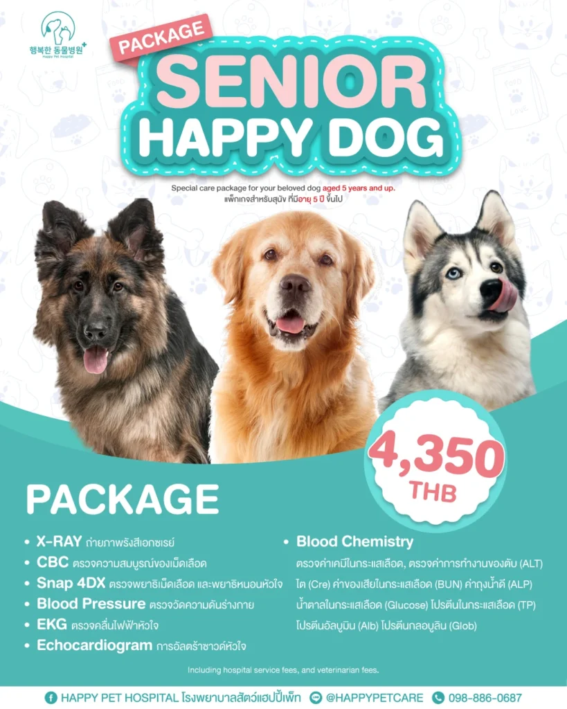 Senior Happy Dog Package