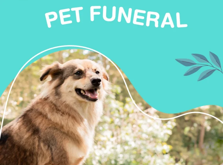 Services Pet Funeral