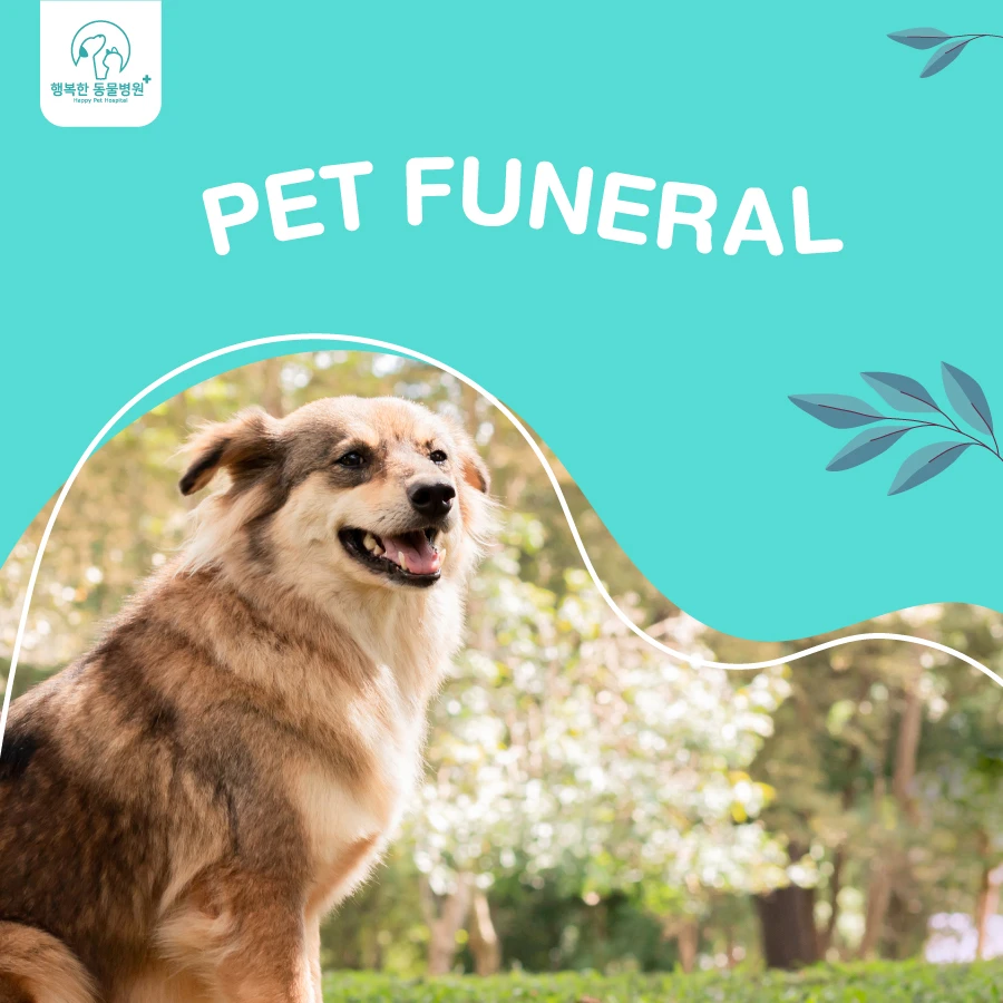 Services Pet Funeral