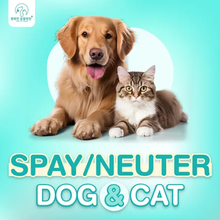 Spay Neuter Dog Cat Package