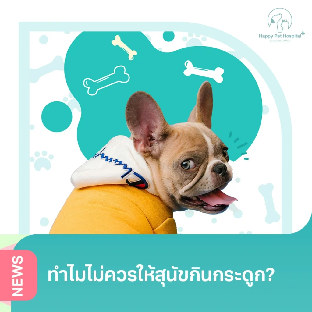 ทำไมไม่ควรให้สุนัขกินกระดูก?
