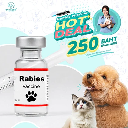 Rabies Vaccine Package Thumnail