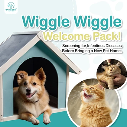 Wiggle Welcome Package Thumnail