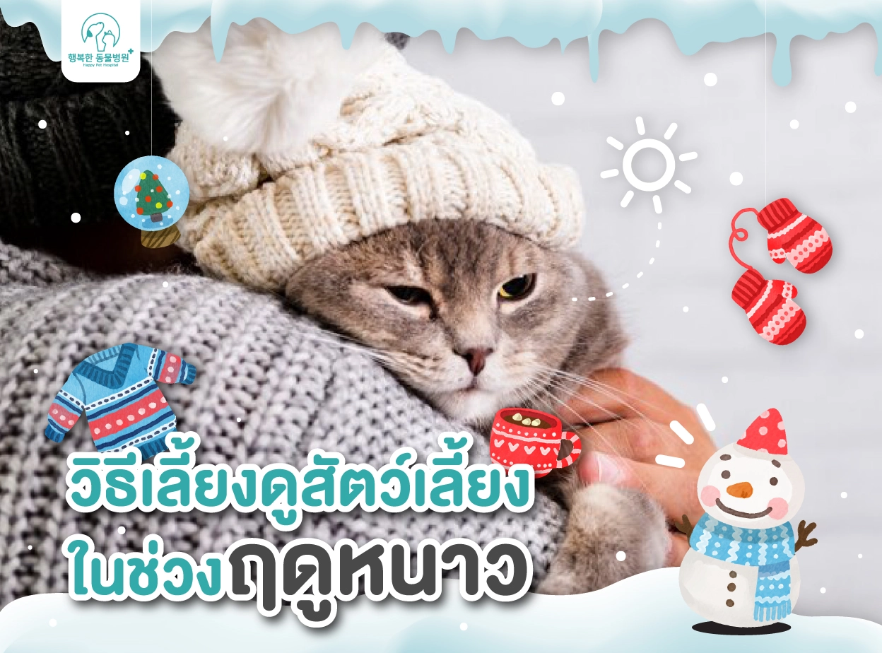 Takecare Pets Winter