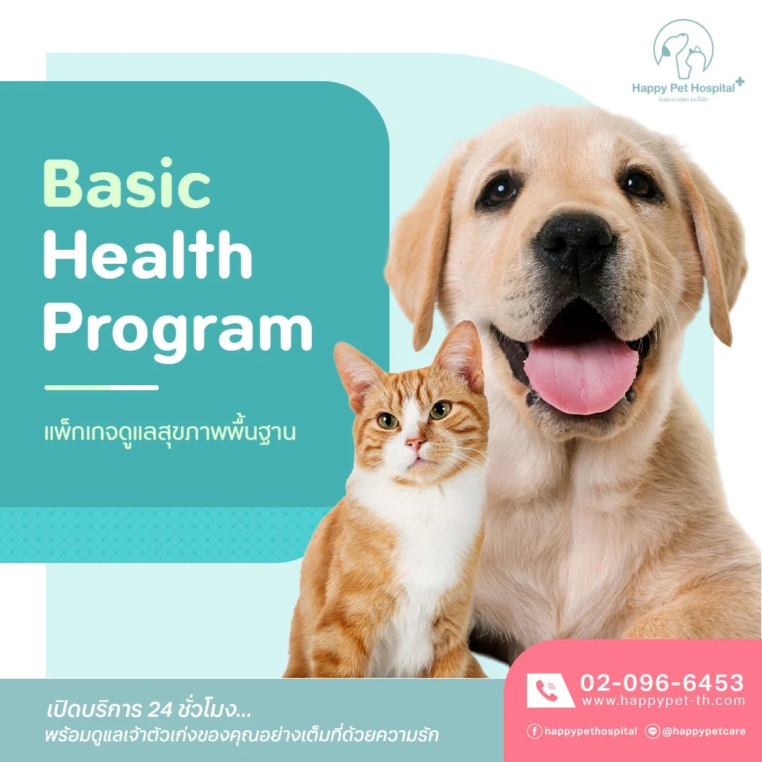 Basic Health Program
