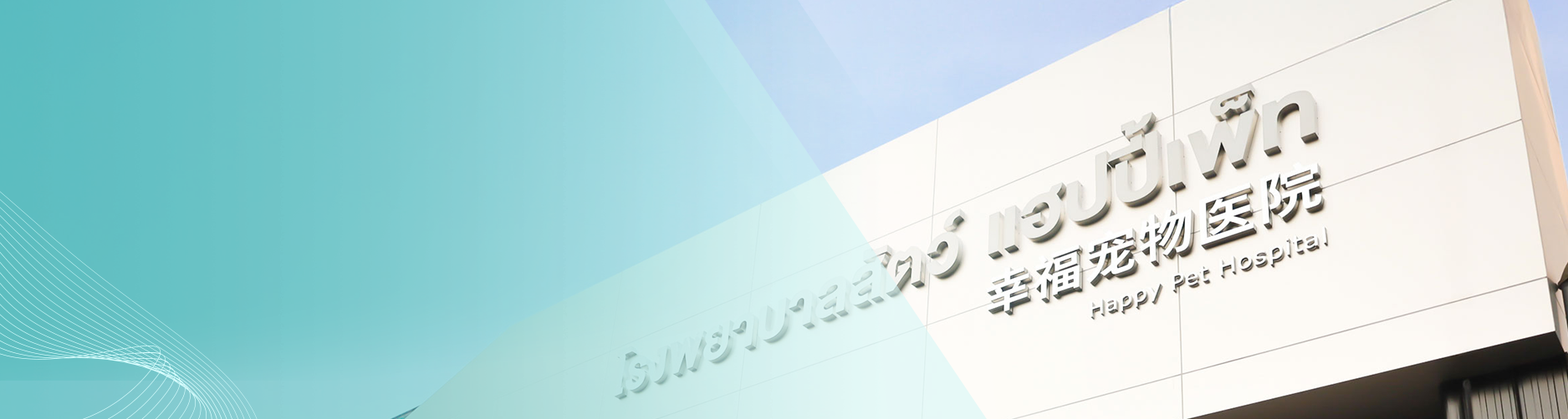 Contact Us Banner
