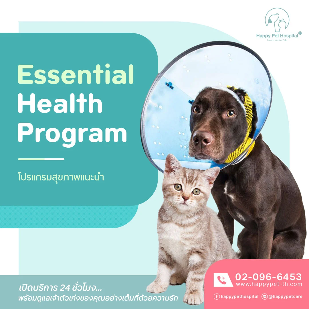 Essential Health Program