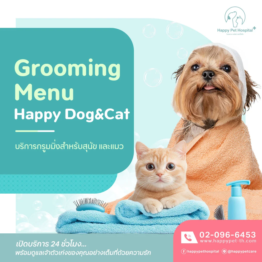 Grooming Menu Happy Dog and Cat