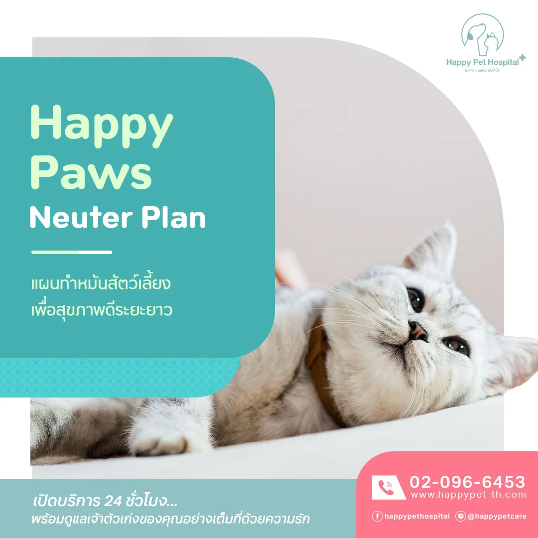 Happypaws Neuter Plan