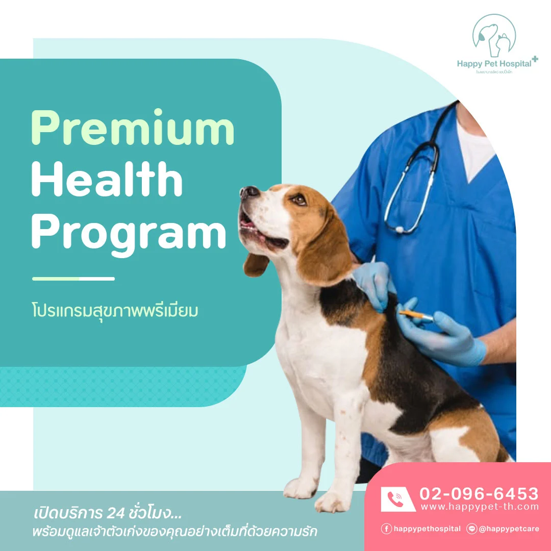Premium Health Program