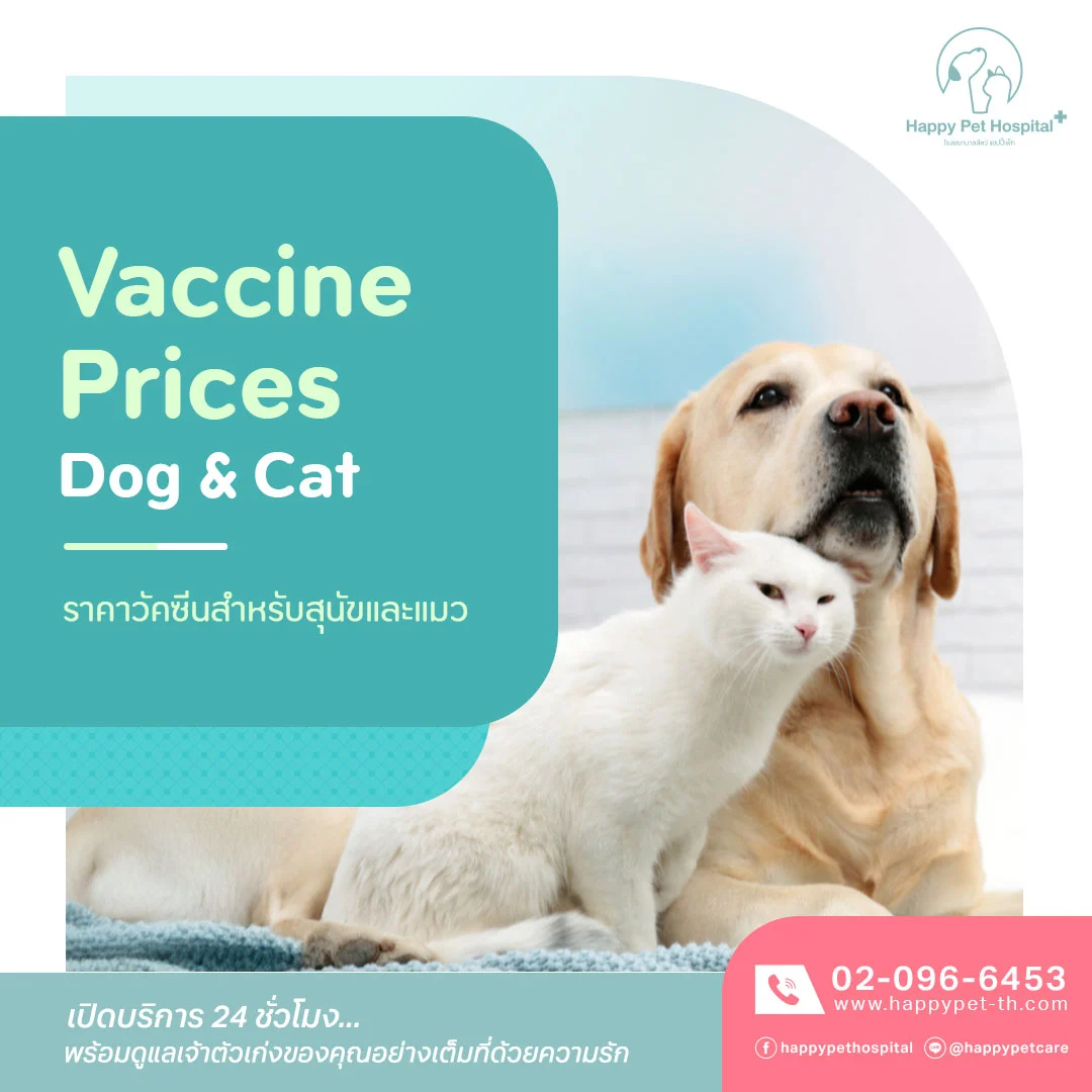 Vaccine Prices Dog and Cat