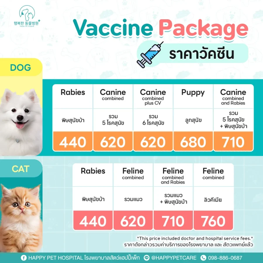 Vaccine Package Price Dog Cat